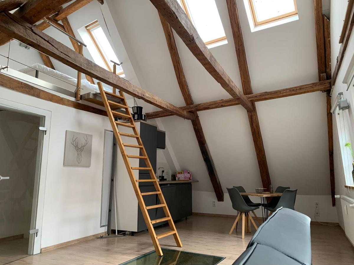 Apartmán Lemperdenkmal Muenster Exteriér fotografie